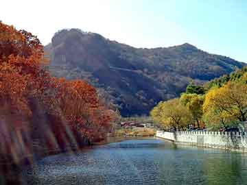 世界举重锦标赛赛后技术复盘会召开，世界举重锦标赛历届举办地